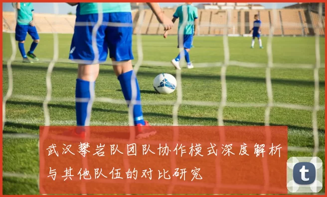 武汉攀岩队团队协作模式深度解析与其他队伍的对比研究