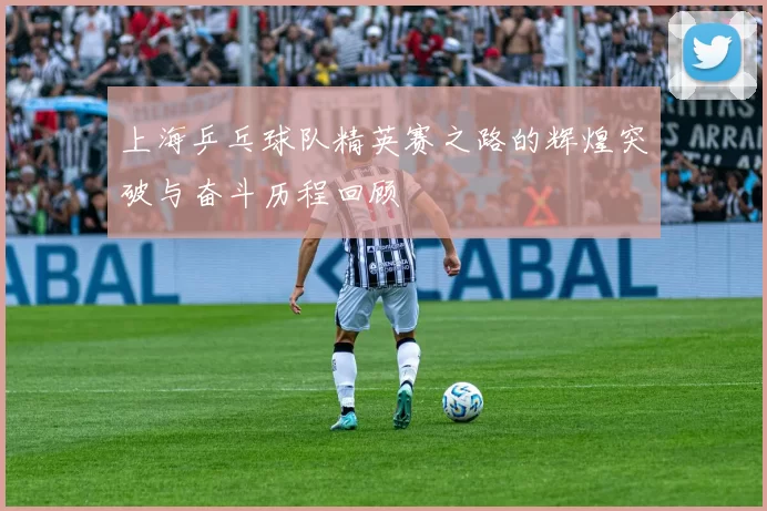上海乒乓球队精英赛之路的辉煌突破与奋斗历程回顾