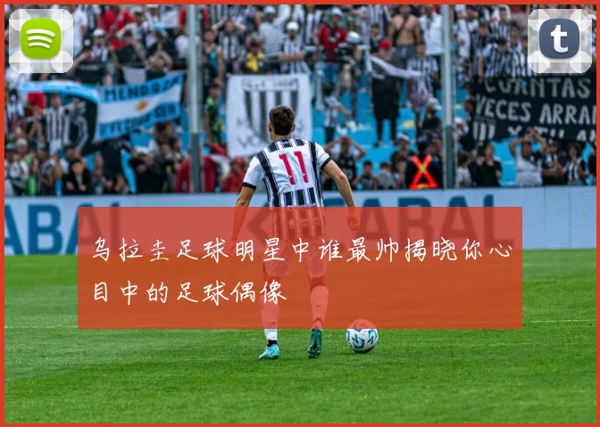 乌拉圭足球明星中谁最帅揭晓你心目中的足球偶像