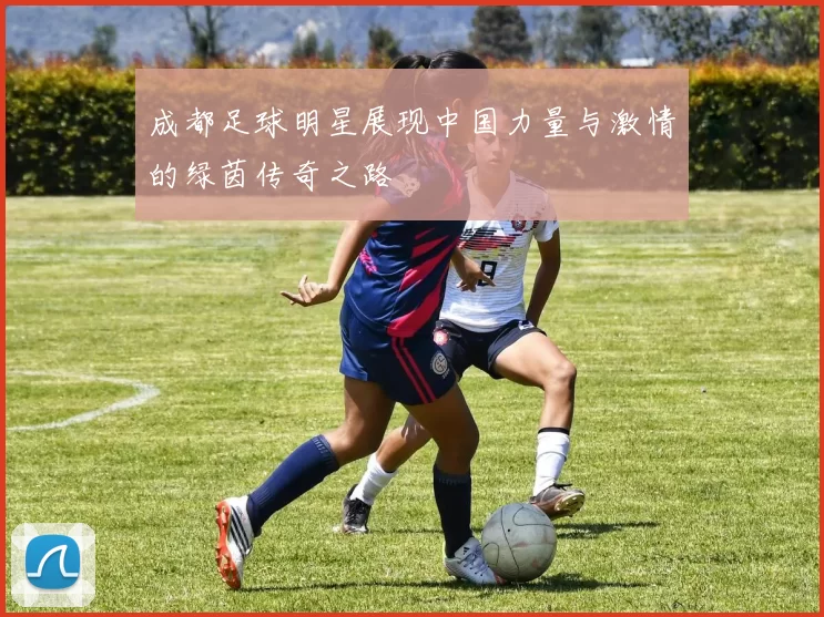成都足球明星展现中国力量与激情的绿茵传奇之路