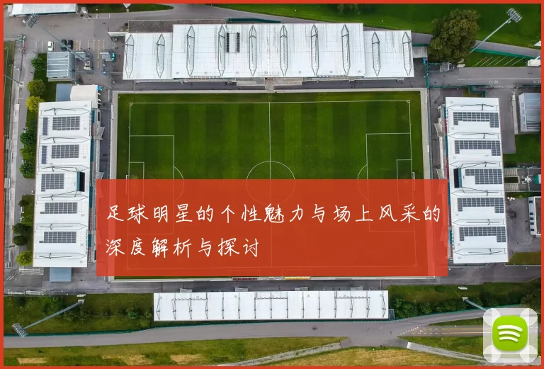 足球明星的个性魅力与场上风采的深度解析与探讨