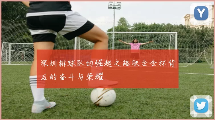 深圳排球队的崛起之路联合会杯背后的奋斗与荣耀