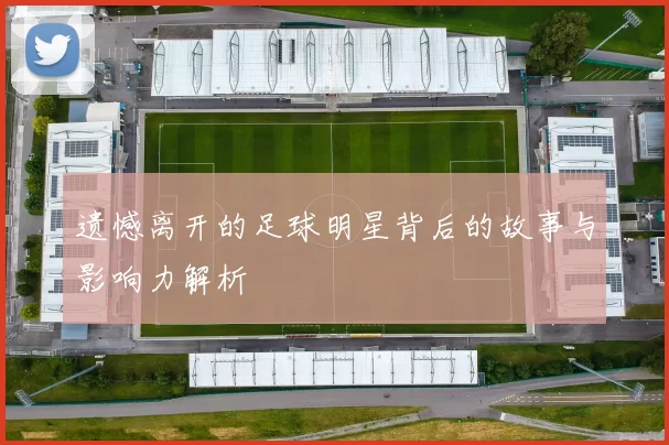 遗憾离开的足球明星背后的故事与影响力解析