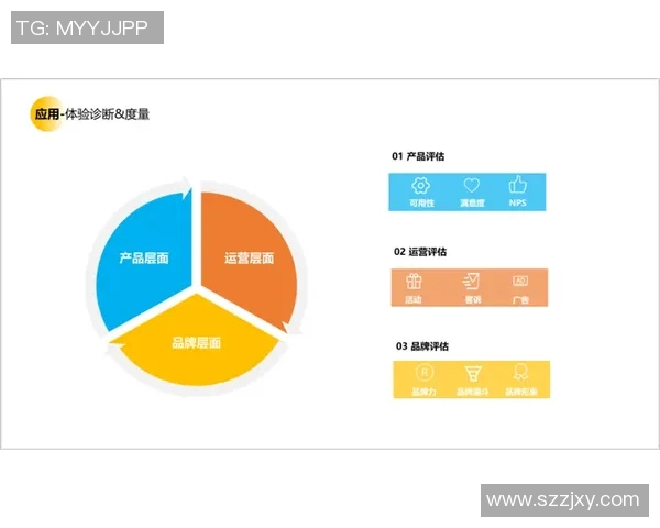 米兰官网平台功能全面解析与用户体验提升探讨