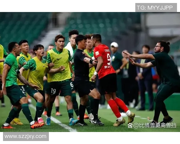 提升联赛公信力的有效策略与实践探索促进公平竞争与球迷信任